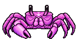Pink Ghost Crab