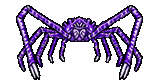 Purple Spider Crab